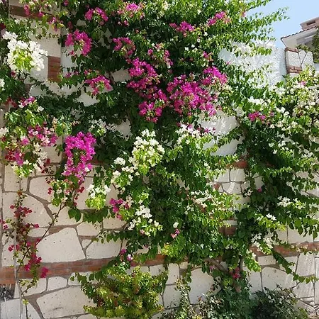 Doga Maison d'hôtes 3*